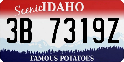 ID license plate 3B7319Z