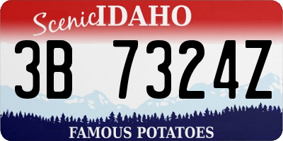 ID license plate 3B7324Z