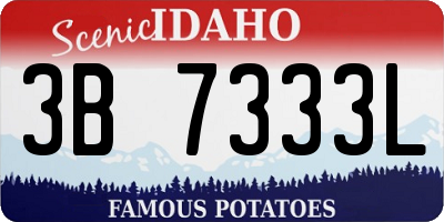 ID license plate 3B7333L