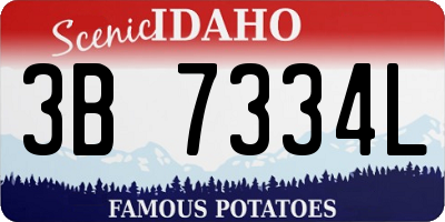 ID license plate 3B7334L