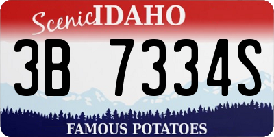 ID license plate 3B7334S