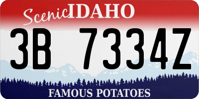 ID license plate 3B7334Z