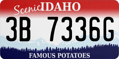 ID license plate 3B7336G