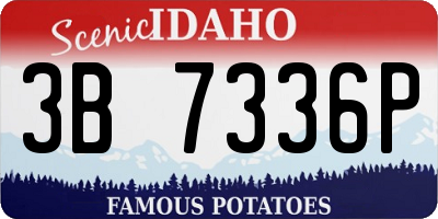 ID license plate 3B7336P