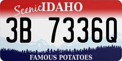 ID license plate 3B7336Q