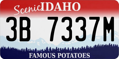 ID license plate 3B7337M