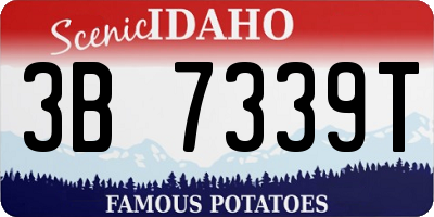 ID license plate 3B7339T