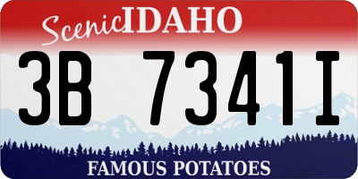 ID license plate 3B7341I