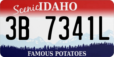 ID license plate 3B7341L