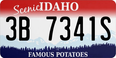 ID license plate 3B7341S