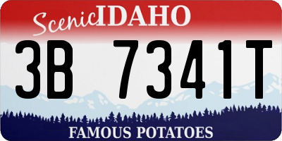 ID license plate 3B7341T