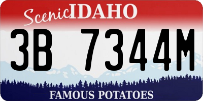 ID license plate 3B7344M