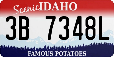 ID license plate 3B7348L