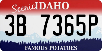 ID license plate 3B7365P
