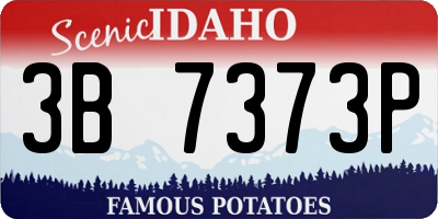 ID license plate 3B7373P