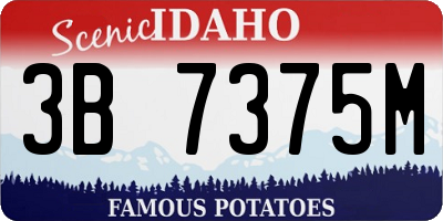 ID license plate 3B7375M