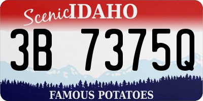 ID license plate 3B7375Q