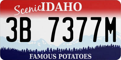ID license plate 3B7377M