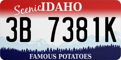 ID license plate 3B7381K