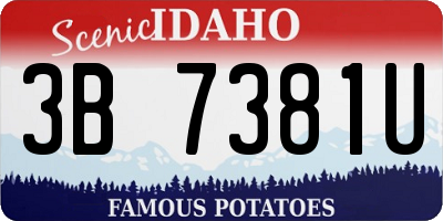 ID license plate 3B7381U