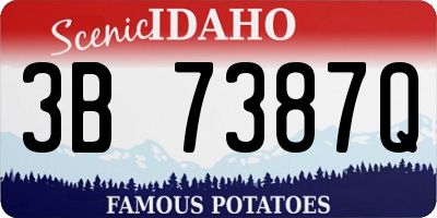 ID license plate 3B7387Q