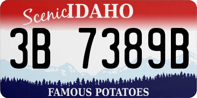 ID license plate 3B7389B