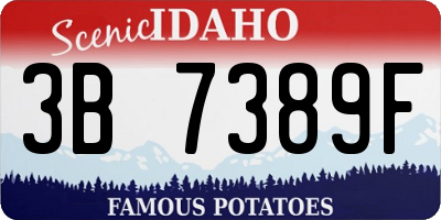 ID license plate 3B7389F