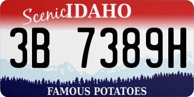 ID license plate 3B7389H