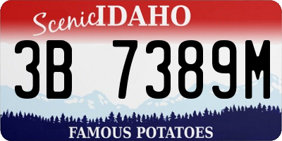 ID license plate 3B7389M