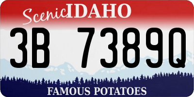 ID license plate 3B7389Q