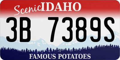 ID license plate 3B7389S