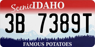 ID license plate 3B7389T