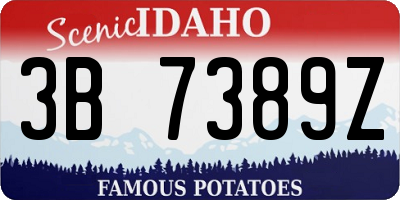 ID license plate 3B7389Z