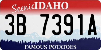 ID license plate 3B7391A