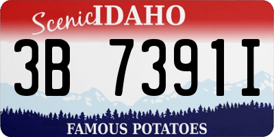 ID license plate 3B7391I