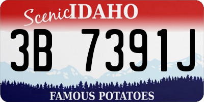 ID license plate 3B7391J