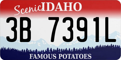 ID license plate 3B7391L