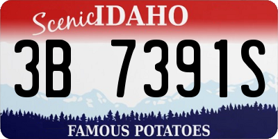 ID license plate 3B7391S
