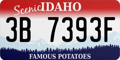 ID license plate 3B7393F