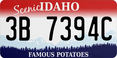 ID license plate 3B7394C