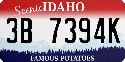 ID license plate 3B7394K