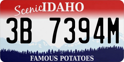 ID license plate 3B7394M