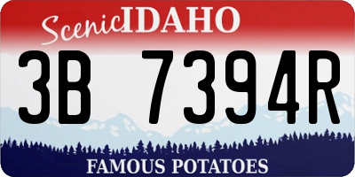 ID license plate 3B7394R