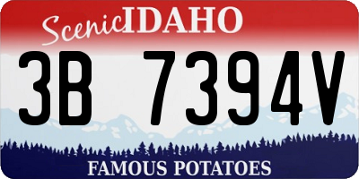 ID license plate 3B7394V