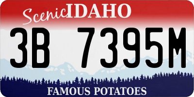 ID license plate 3B7395M