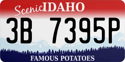 ID license plate 3B7395P