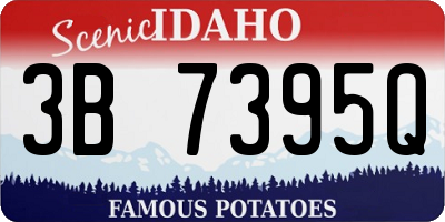 ID license plate 3B7395Q