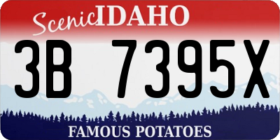 ID license plate 3B7395X