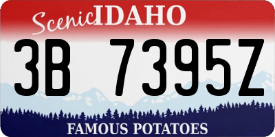 ID license plate 3B7395Z