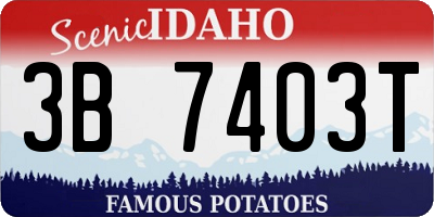 ID license plate 3B7403T